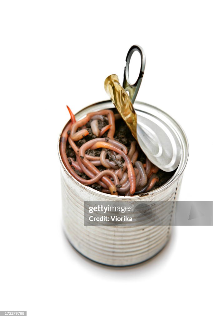 Can of worms-englische Redewendung