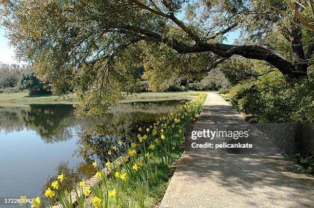 bellingrath gardens, mobile al - mobile alabama stock pictures, royalty-free photos & images