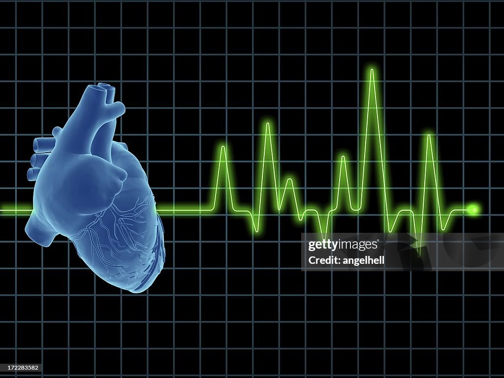 Electrocardiogram (ECG / EKG) with human heart on screen