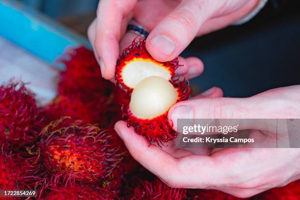 How To Open Rambutan 170 Rambutan Farm Stock Photos, High-Res Pictures, and Images - Getty ...