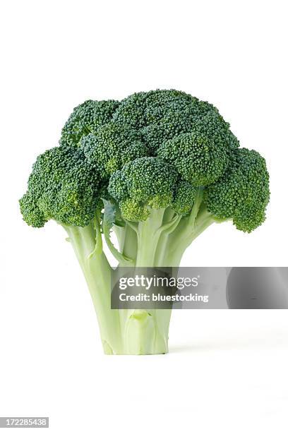 single piece of broccoli on a white background - broccoli stock pictures, royalty-free photos & images