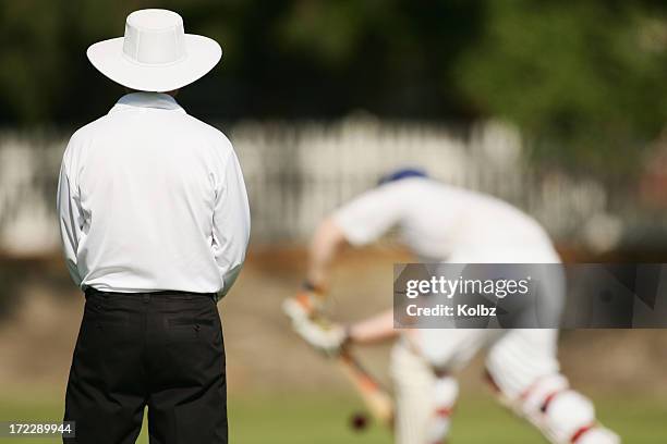 cricket umpire - referee stock pictures, royalty-free photos & images