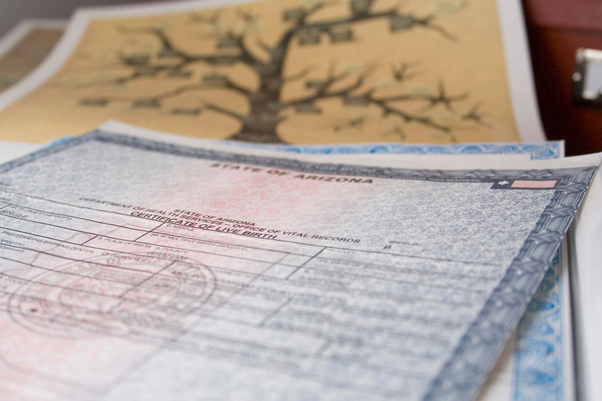 genealogy research