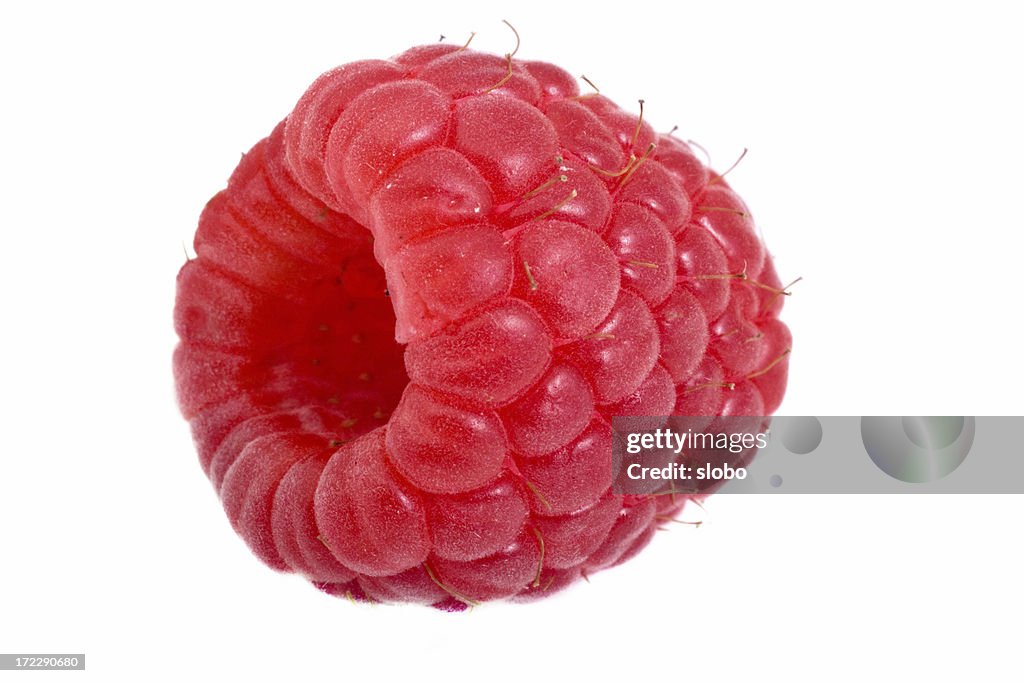 Raspberry Single