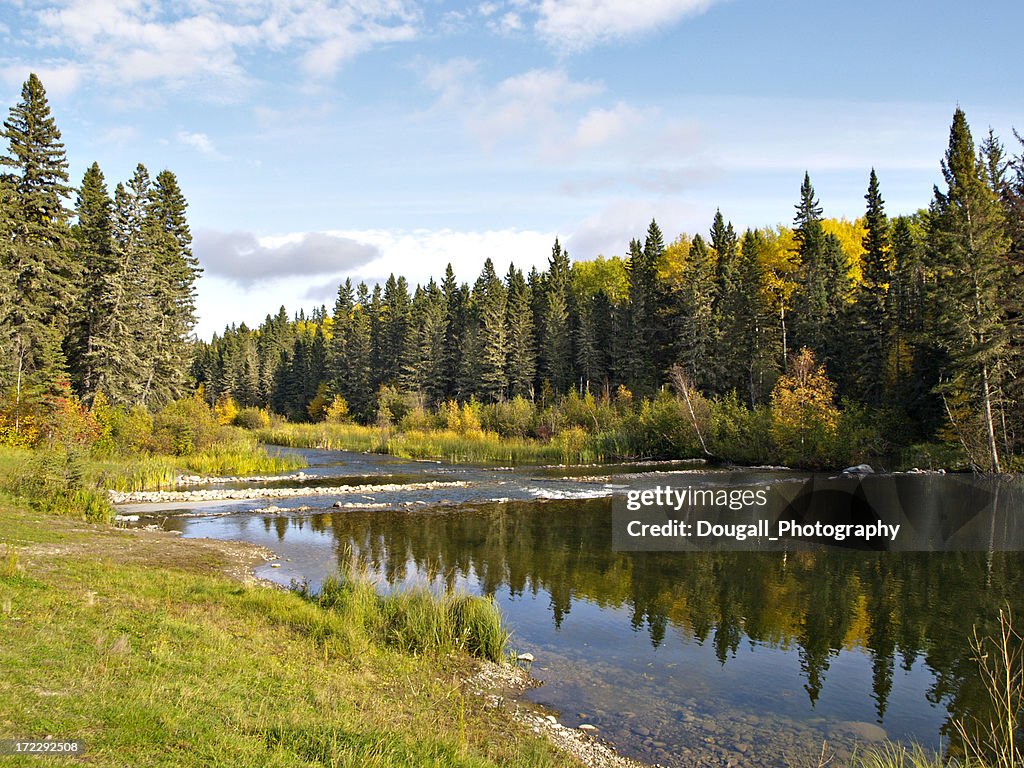 Trees Northern Rivers Northern River In Boreal Forest High-Res Stock Photo - Getty Images