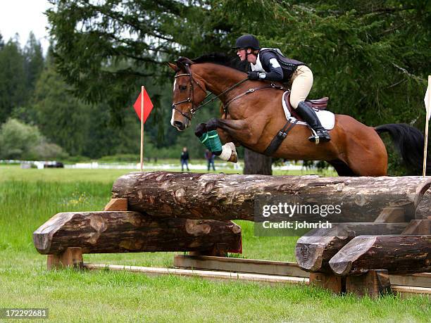 nivel alto cross country - concurso de saltos ecuestres fotografías e imágenes de stock