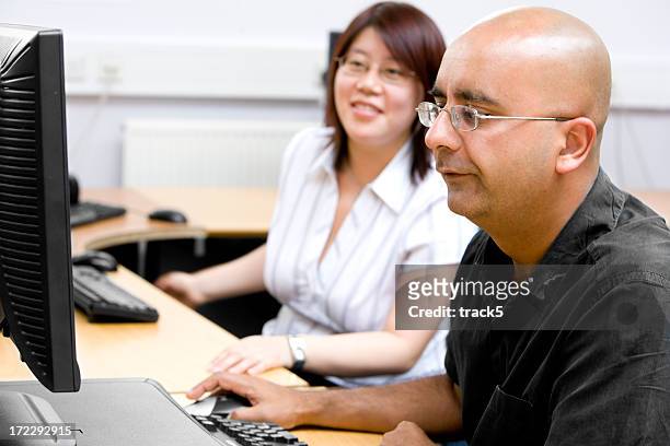 adult education: mature students working together on a computer project - hairless mouse stock pictures, royalty-free photos & images