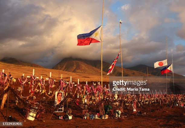 Crosses are displayed at a public memorial to wildfire victims on October 05, 2023 in Lahaina, Hawaii. The wind-whipped wildfire on August 8th killed...