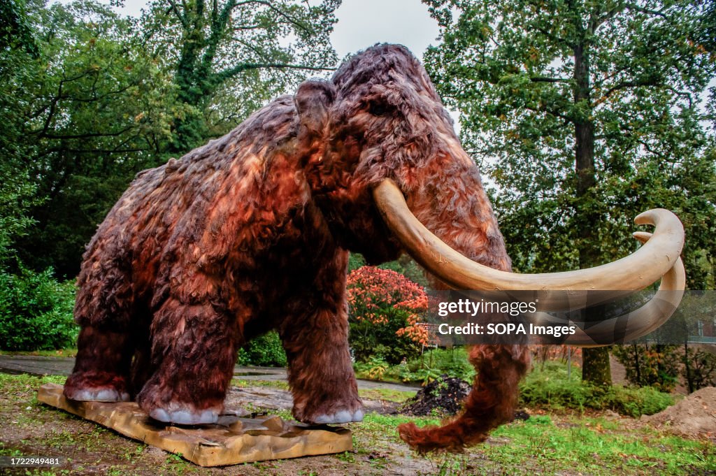 A view of a huge mammoth completely assembled. This enormous...