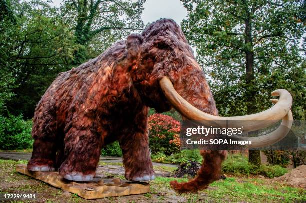 View of a huge mammoth completely assembled. This enormous mammoth is part of the educational exhibition called 'Ice Age & Zoo'. Spread out on a...