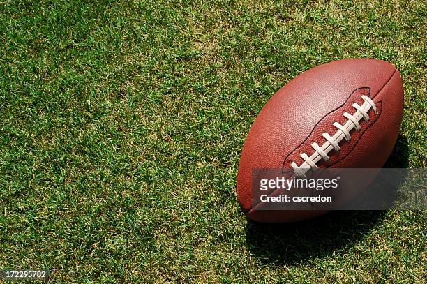 a lone football resting in the green grass - football goal post stock pictures, royalty-free photos & images