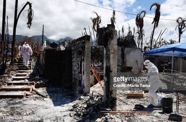 Displaced resident Caroline Anthony walks while searching for personal items in the rubble of the wildfire destroyed home where she lived, as...