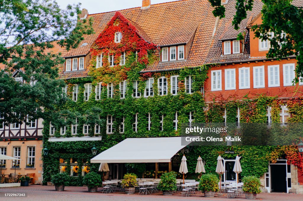 Building facade covered with red ivy in autumn