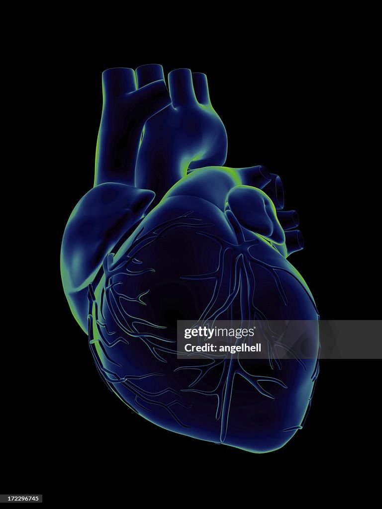 Blue and green human heart on black background