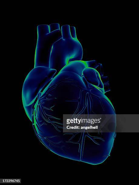 blue and green human heart on black background - human heart stock pictures, royalty-free photos & images