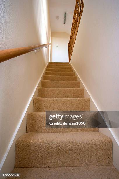 staircase - tree house stockfoto's en -beelden