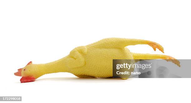 buk - totes tier stock-fotos und bilder