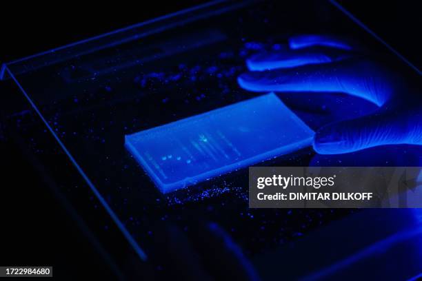An employee of French start-up Standing Ovation lights yeast with an Ultra-Violet light in a laboratory in Paris on October 11, 2023. Creating...