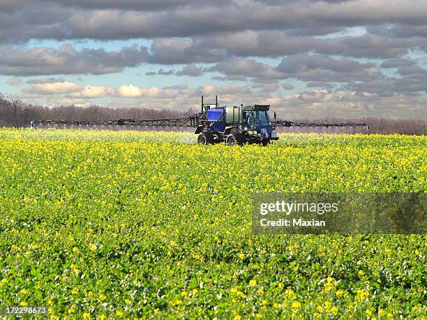 crop spraying - herbicide spraying stock pictures, royalty-free photos & images