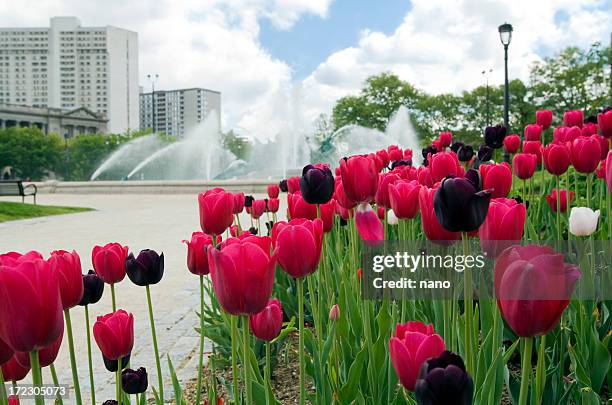 Spring Philadelphia Desktop Philadelphia Spring Photos and Premium High Res Pictures - Getty Images