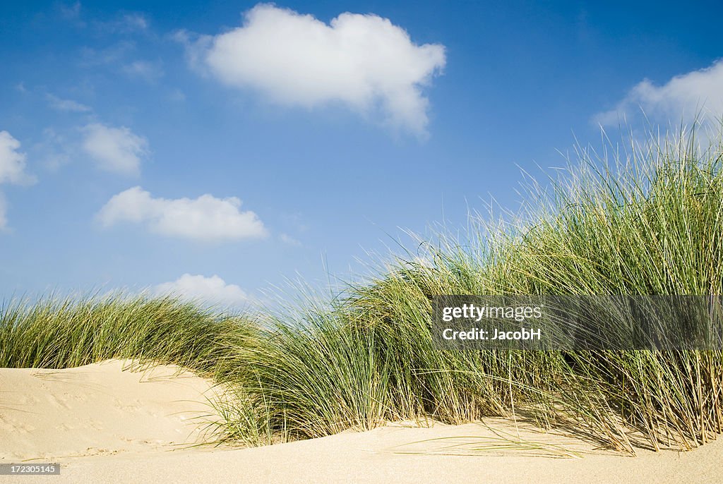 Sand, Grass and Sky