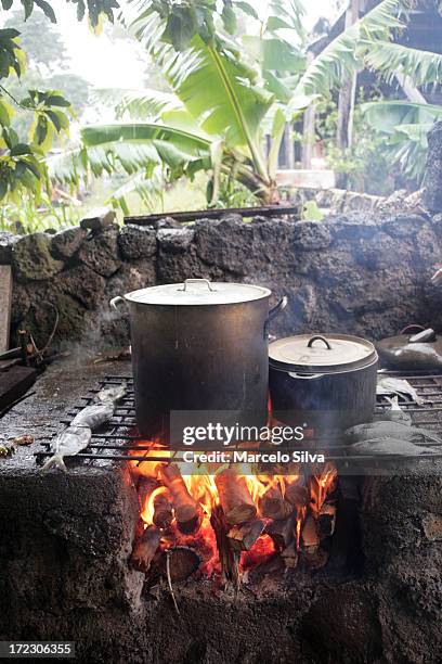 113 Polynesian Cooking Stock Photos, High-Res Pictures, and Images ...