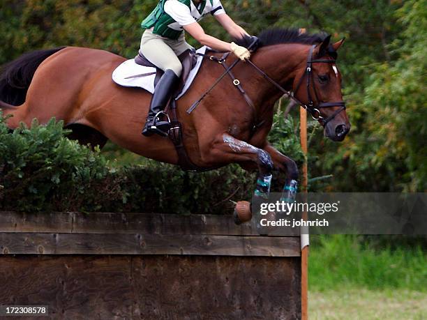 equine athlete 4 - horse trials stock pictures, royalty-free photos & images