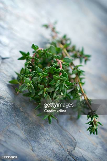 a hunk of thyme on a marble surface - tijm stockfoto's en -beelden