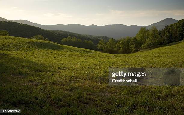 appalachian field - georgia country stockfoto's en -beelden