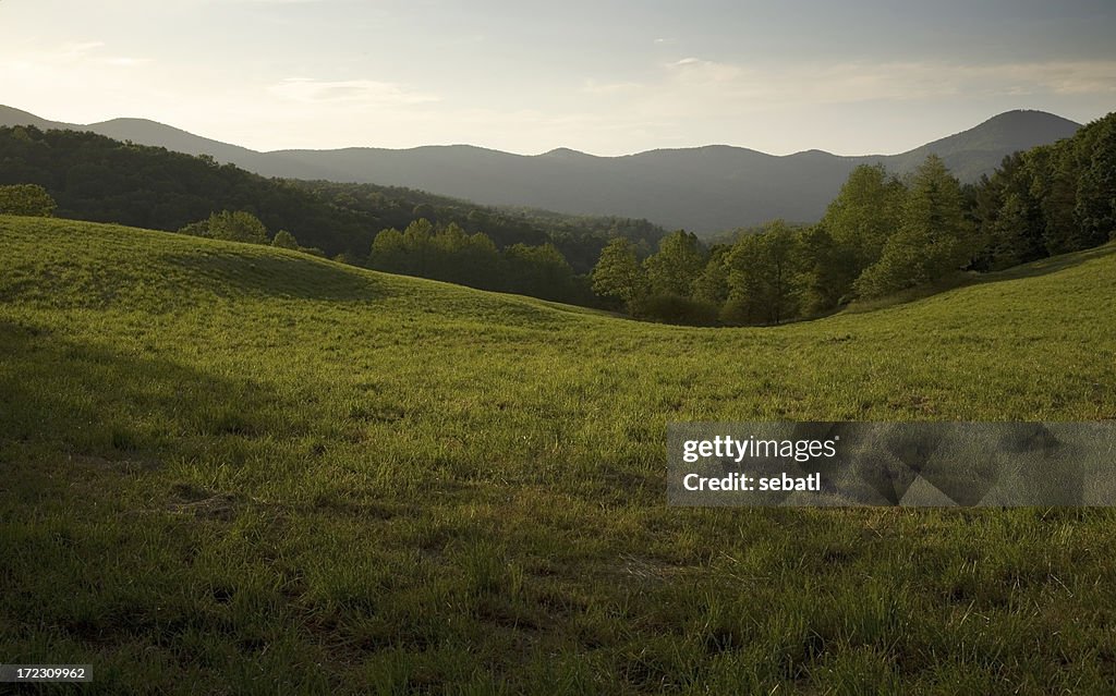 Appalachian Field