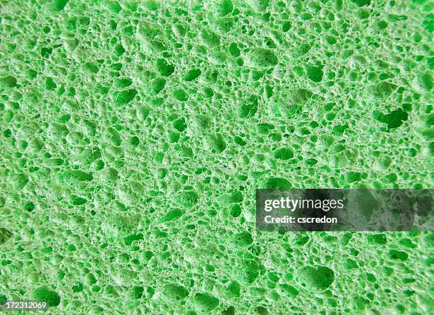 green sponge - bath sponge stock pictures, royalty-free photos & images