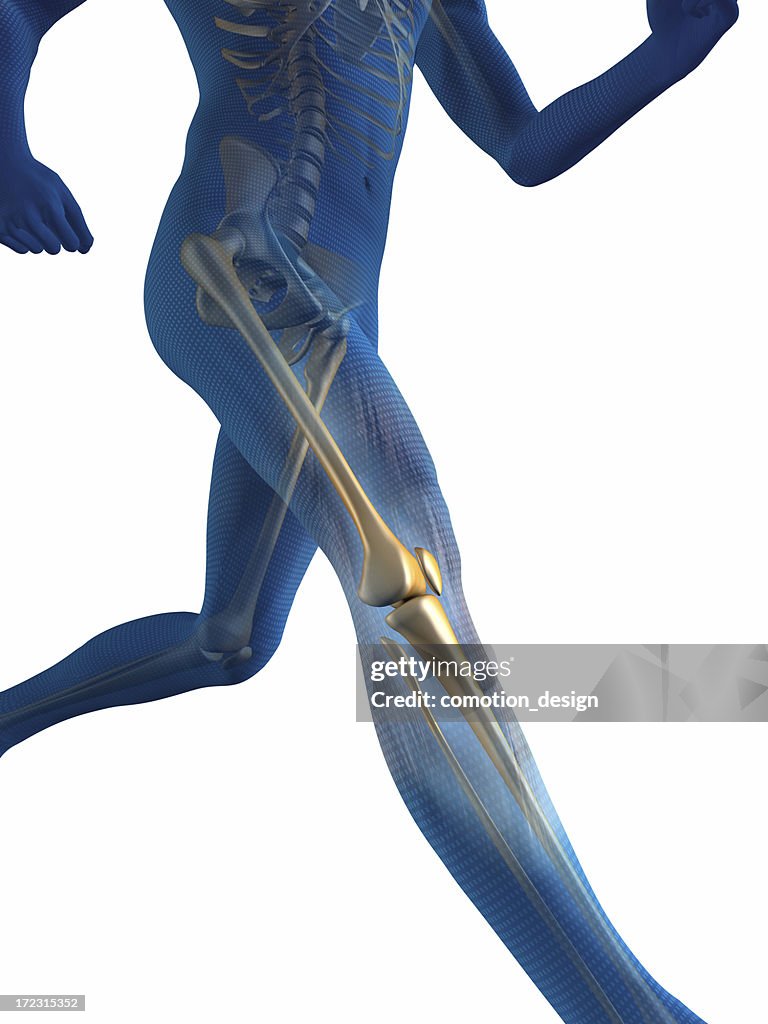 Internal view of man's bones while he runs