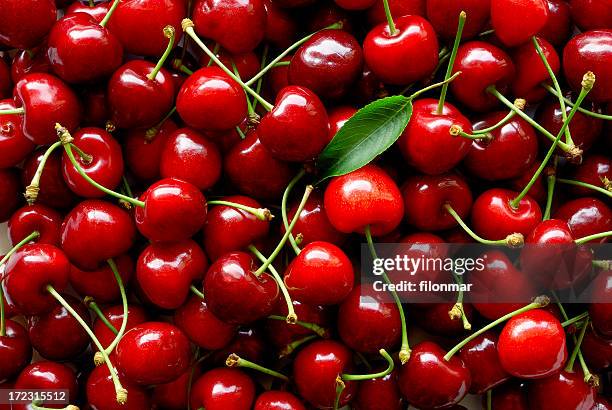 sweet cherries - cherries stockfoto's en -beelden