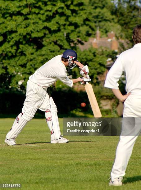 cricket shot - cricket stock pictures, royalty-free photos & images