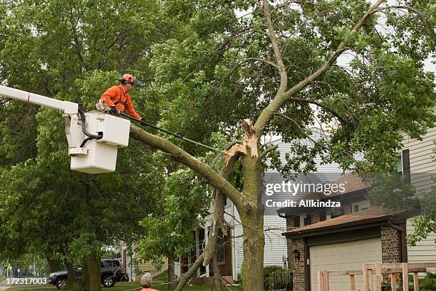 storm damaged tree gets cut - storm damage stock pictures, royalty-free photos & images