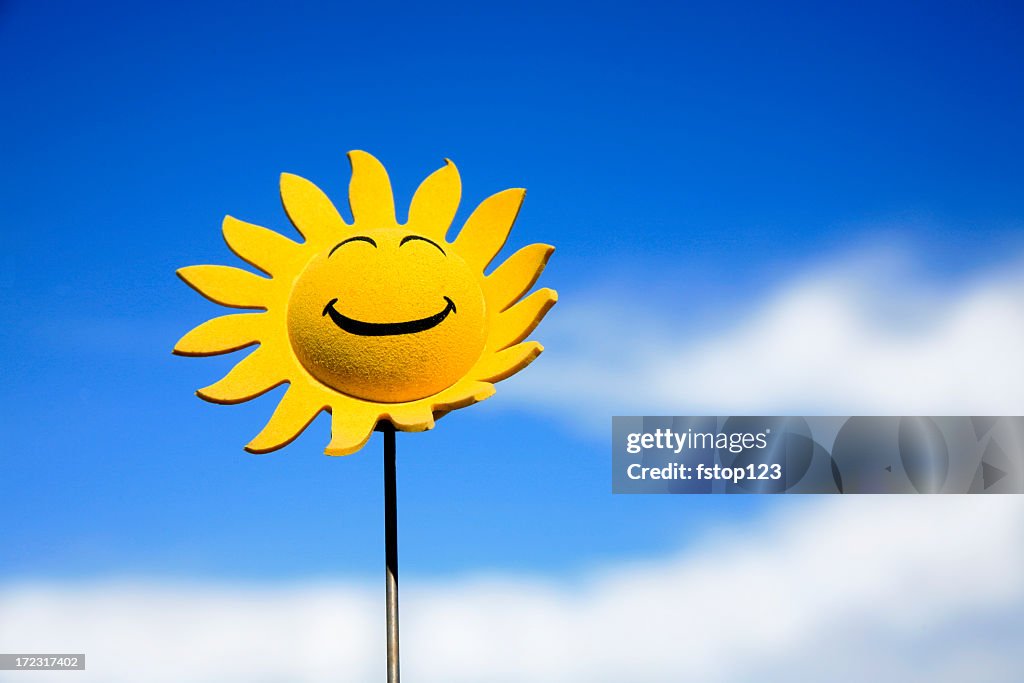 Sunflower smiley face