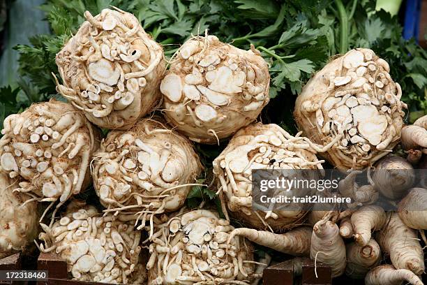 celeries - celery stock pictures, royalty-free photos & images