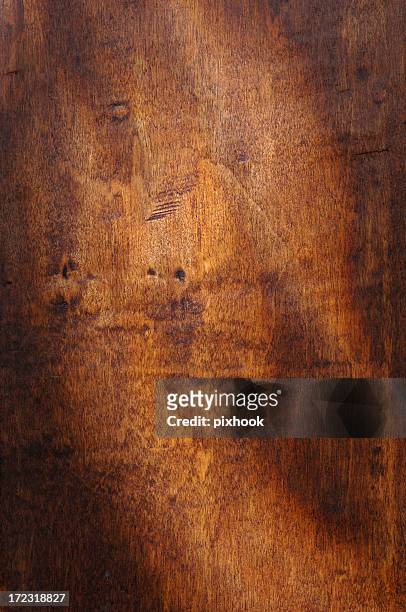 smokey hardwood - pecan tree bildbanksfoton och bilder