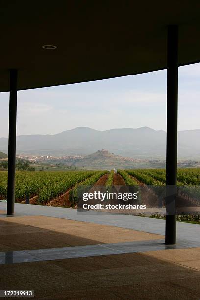 museo briones, vino rioja, españa, - comunidad autónoma de la rioja fotografías e imágenes de stock