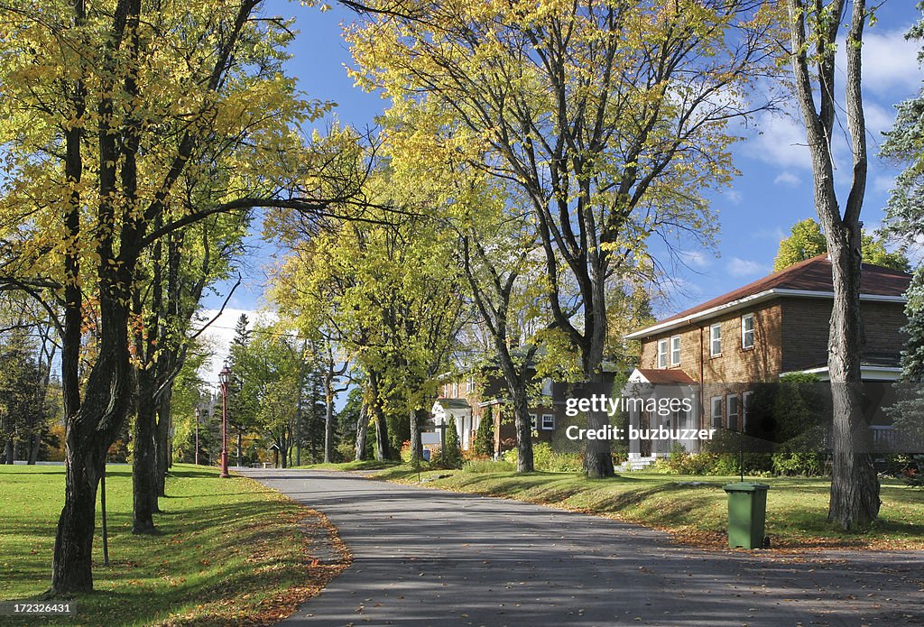 Colorful Countryside Residential Street