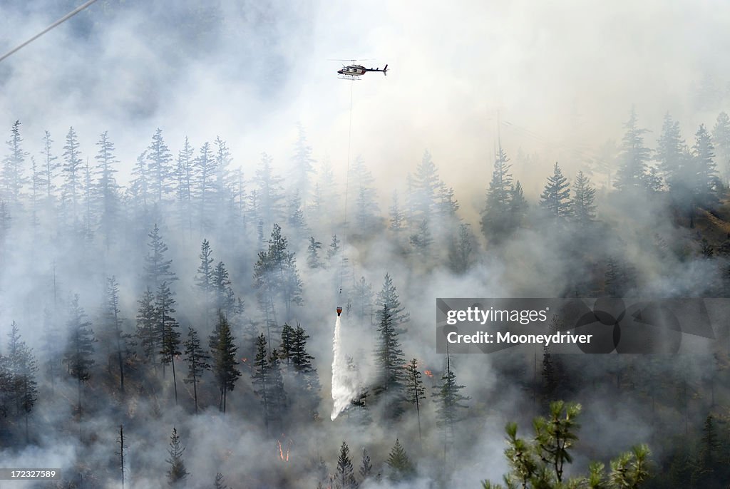 Firefighting a forest fire with white smoke