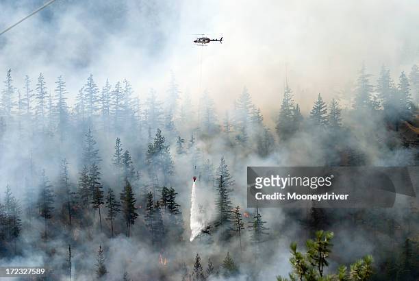 firefighting a forest fire with white smoke - british columbia stock pictures, royalty-free photos & images