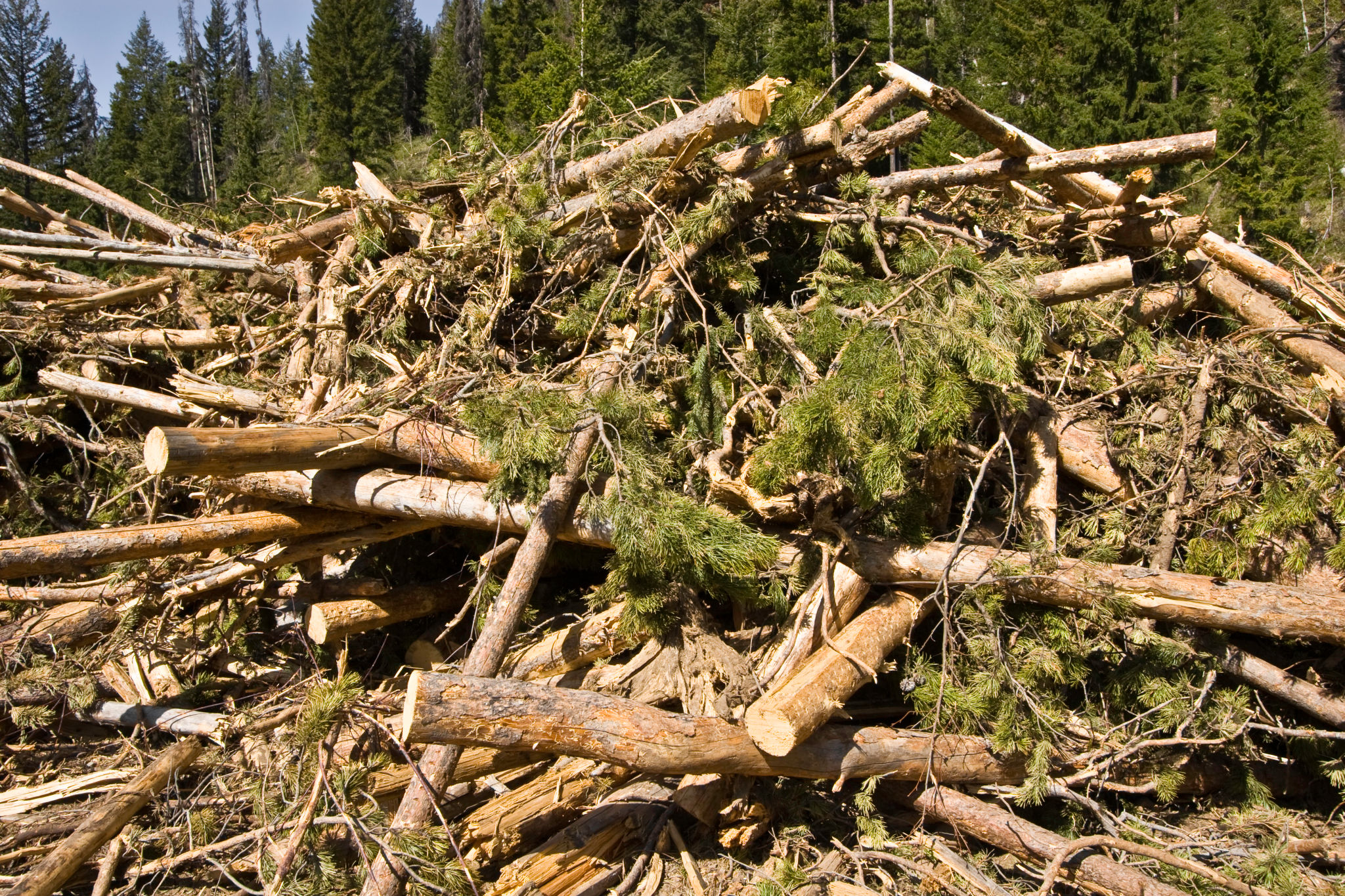 land clearing debris