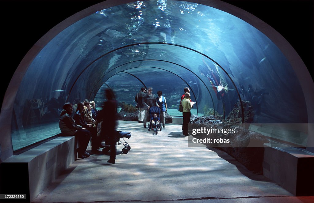 Pessoas em um túnel de água.