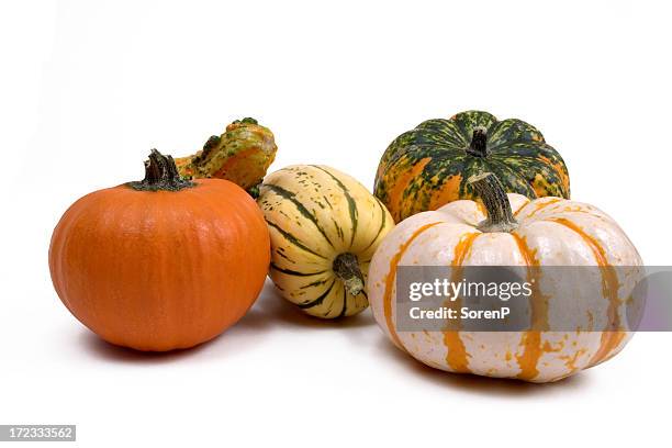 decorative gourds - gourd bildbanksfoton och bilder
