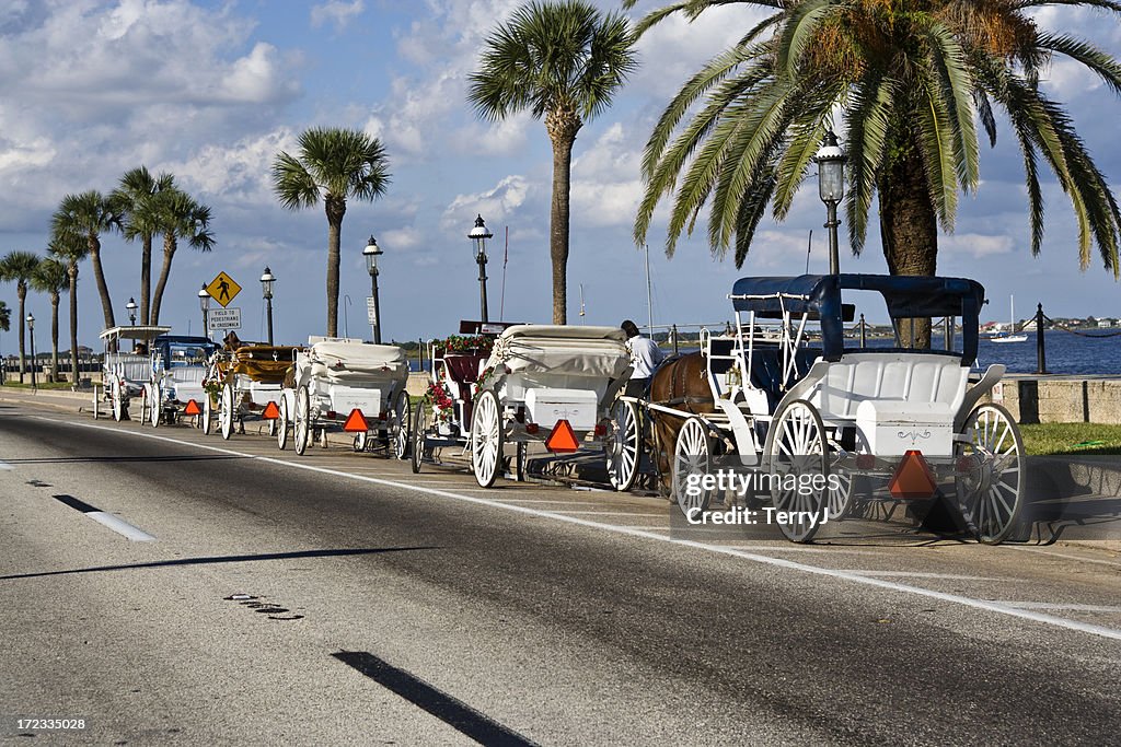 Carriage Ride