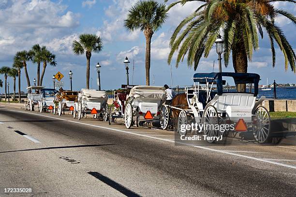 carriage ride - horse carriage bildbanksfoton och bilder