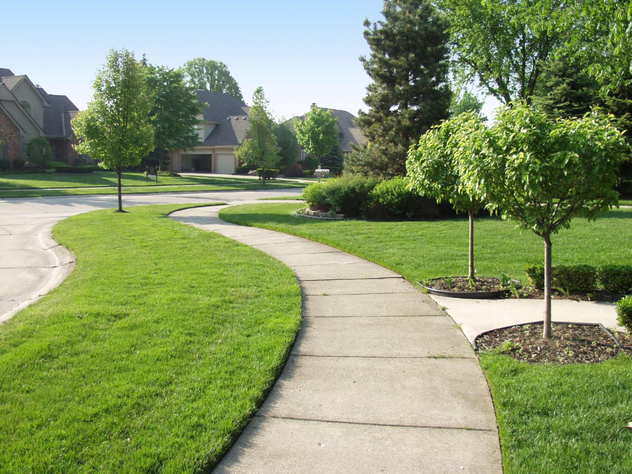 community trees