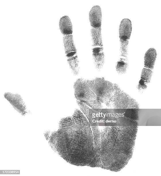 mão direita (51 megapixels - fingerprint - fotografias e filmes do acervo