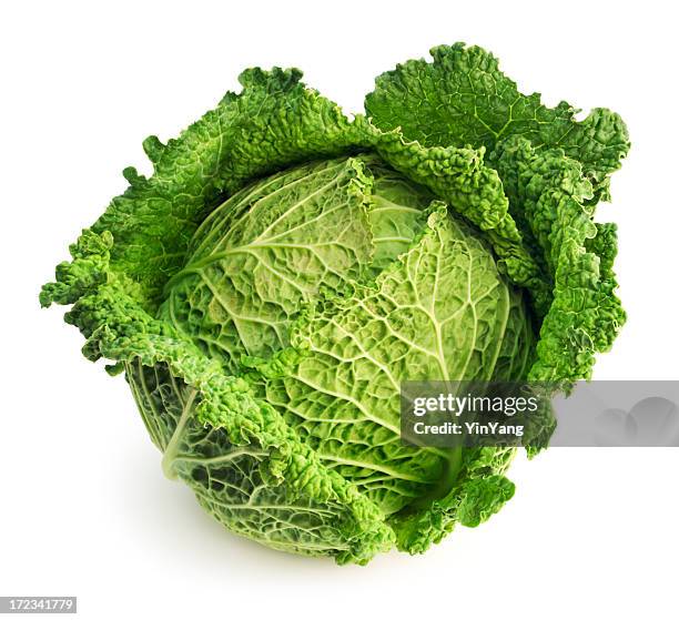 hoja de col verde frescas, vegetales de jardín aisladas sobre fondo blanco - col fotografías e imágenes de stock